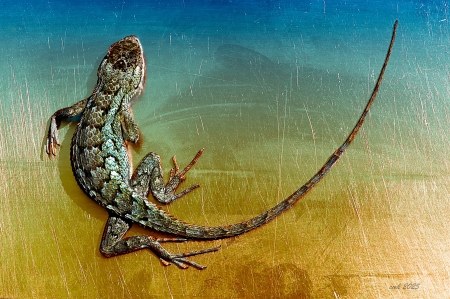 Lizard on Aluminum by artist Charlie Kreitler